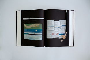 個(gè)人作品集書裝印刷版 包裝裝潢印刷的藝術(shù)與實(shí)用指南